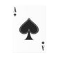 Craft 420 Poker Cards